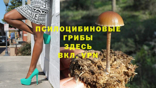 2c-b Арсеньев
