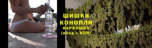 ПСИЛОЦИБИНОВЫЕ ГРИБЫ Армянск