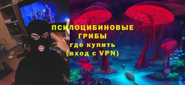 ALPHA PVP Покров